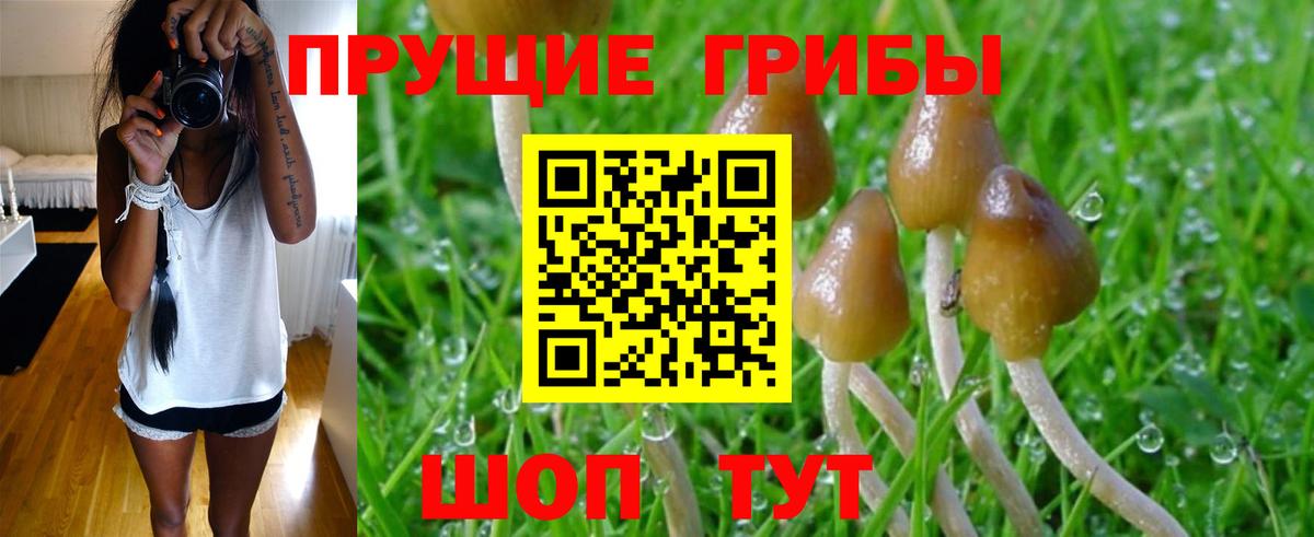 Псилоцибиновые грибы Magic Shrooms Новошахтинск