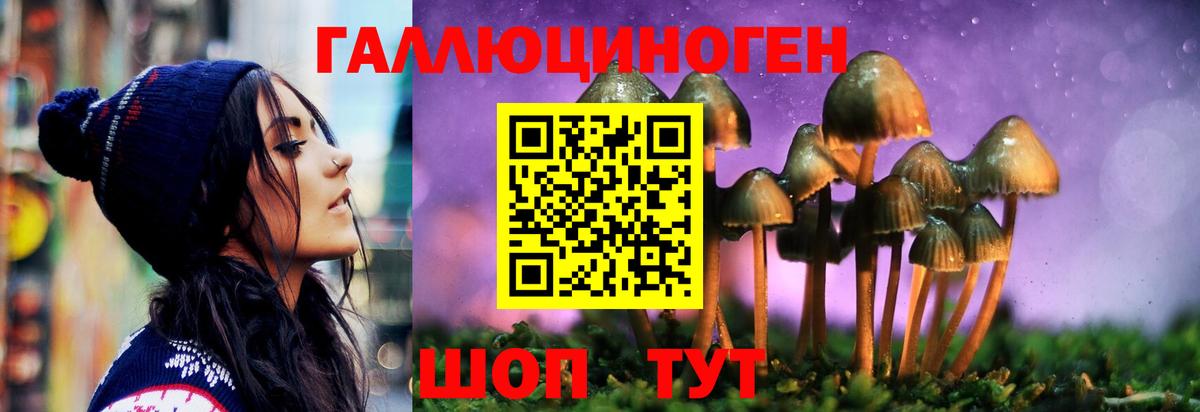 Псилоцибиновые грибы Psilocybine cubensis  Псилоцибиновые грибы мухоморы  Новошахтинск  Вход с VPN 